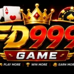 FD999 Game