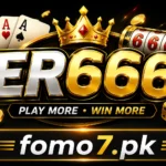 ER666 Game
