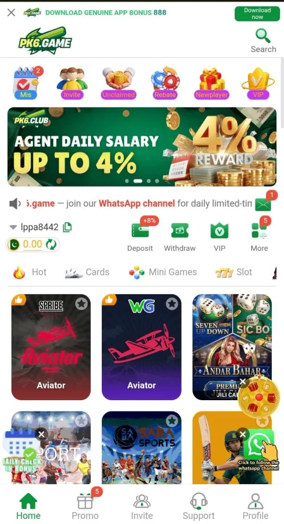 pk6 game interface 